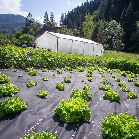 Maison d'hôtes Uastarie U Luogu 3*