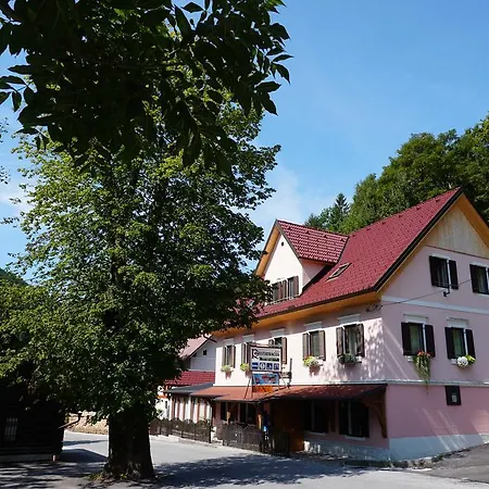 Guest house Gostisce Gacnk V Logu