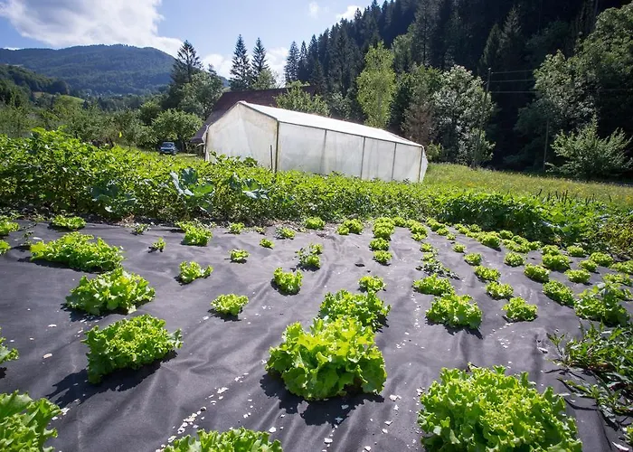 بيت ضيافة Uastarie U Luogu 3*